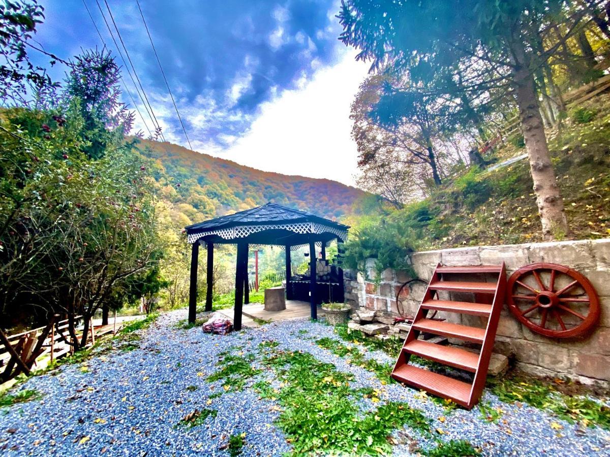 Bed & Breakfast Casuta Din Padure Hunedoara