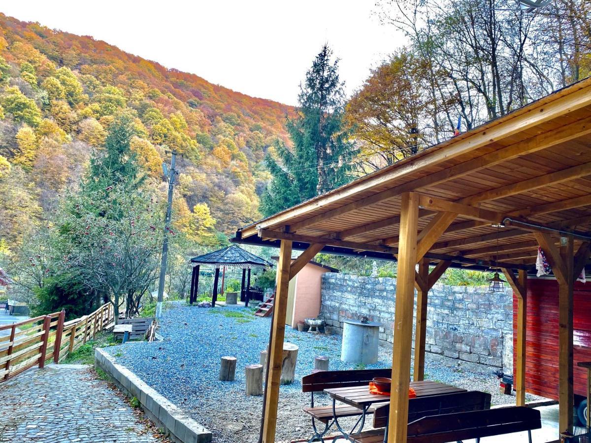 Bed & Breakfast Casuta Din Padure Hunedoara