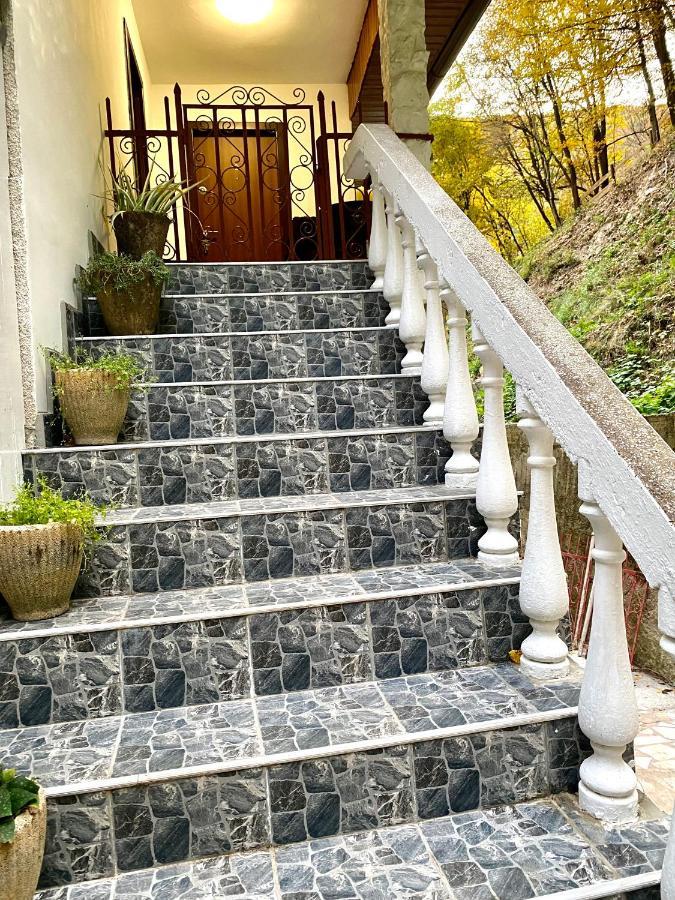 Bed & Breakfast Casuta Din Padure